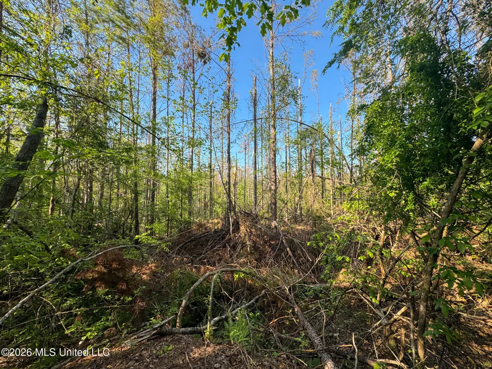 Dees Rd. Road Enid, MS 38927