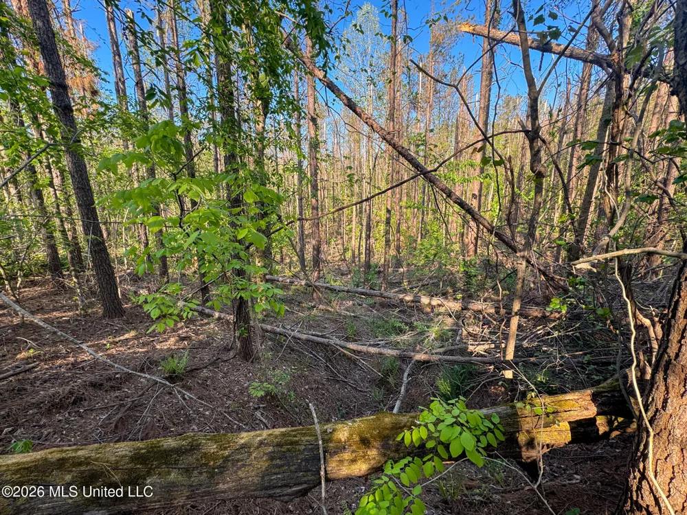 Dees Rd. Road Enid, MS 38927