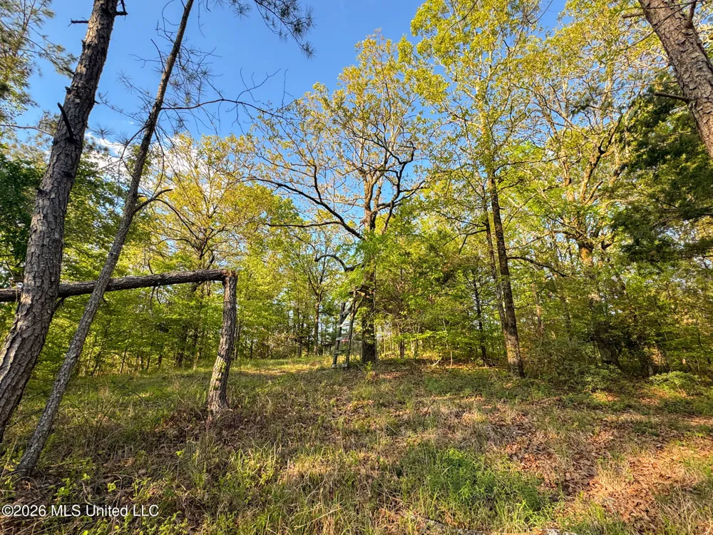 Dees Rd. Road Enid, MS 38927