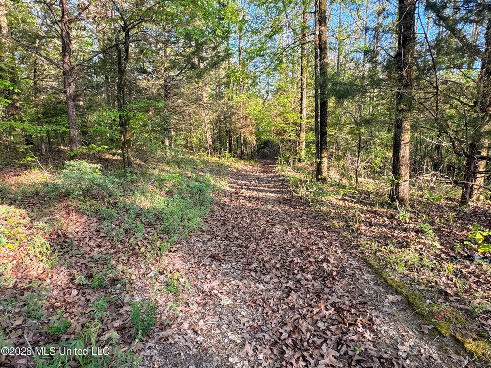 Dees Rd. Road Enid, MS 38927