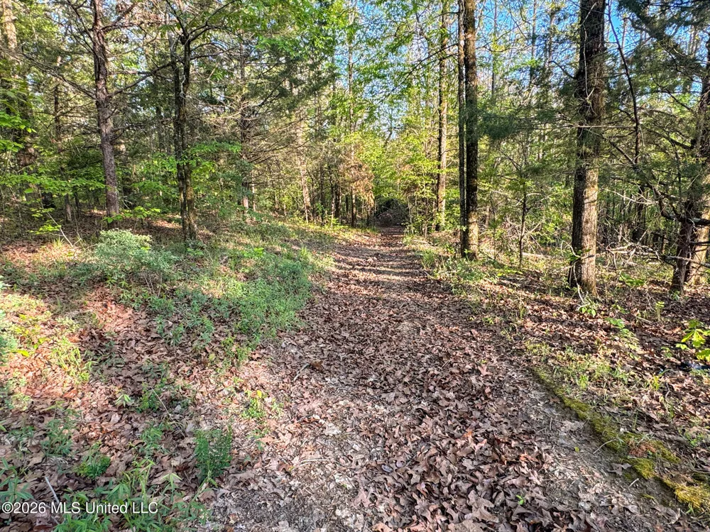 Dees Rd. Road Enid, MS 38927