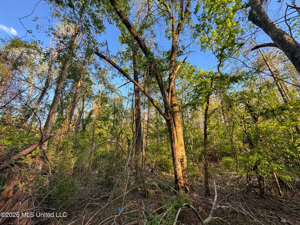 Dees Rd. Road Enid, MS 38927