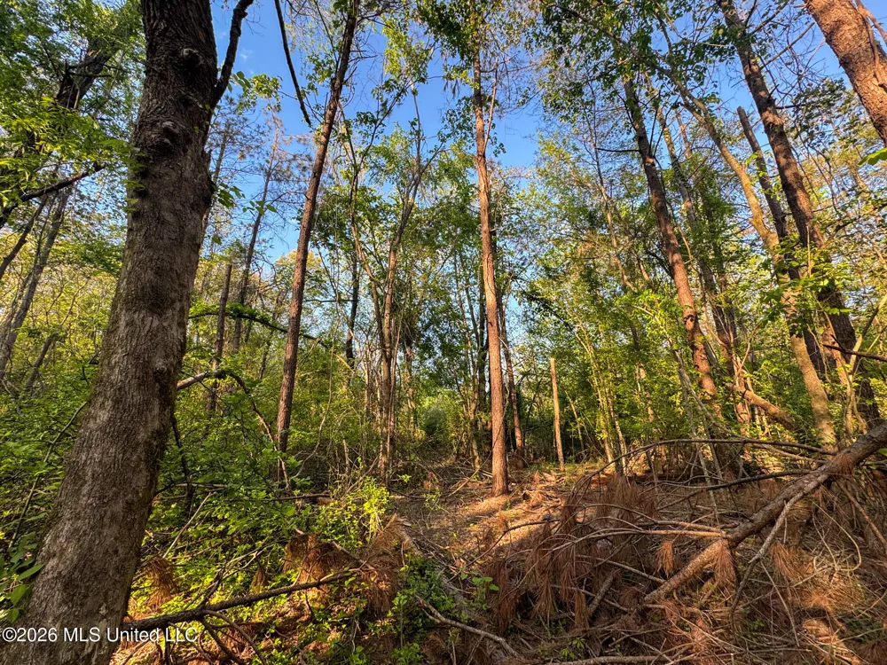 Dees Rd. Road Enid, MS 38927