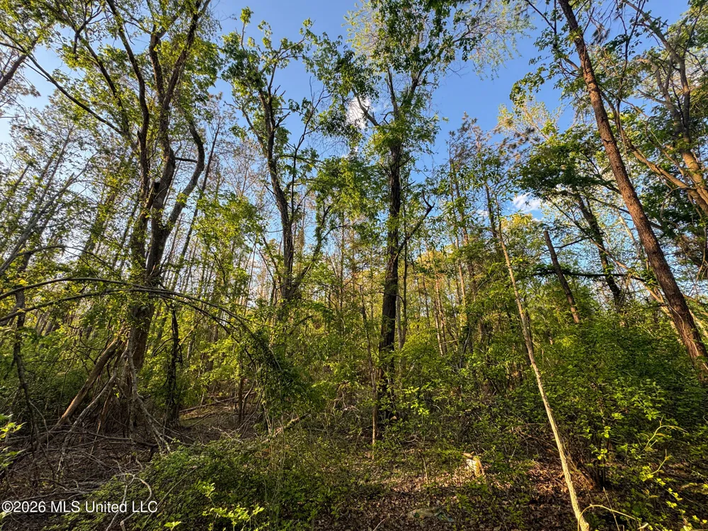 Dees Rd. Road Enid, MS 38927