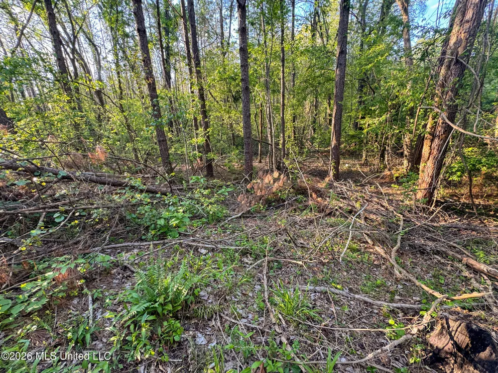 Dees Rd. Road Enid, MS 38927