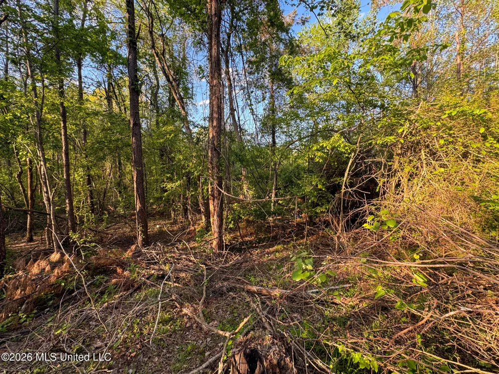Dees Rd. Road Enid, MS 38927
