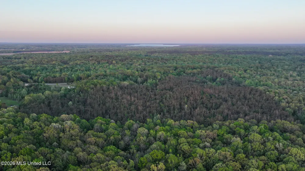 Dees Rd. Road Enid, MS 38927