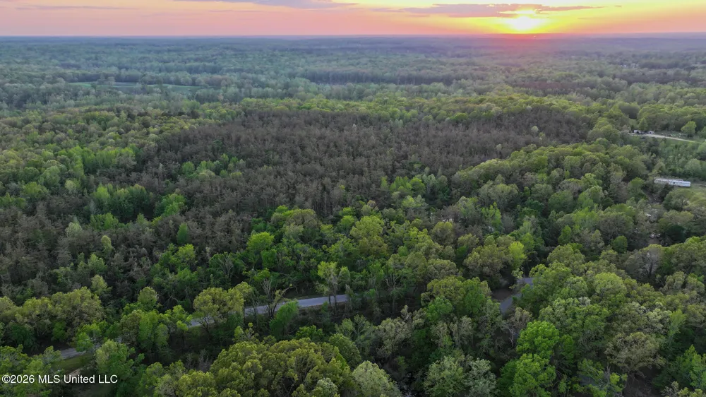 Dees Rd. Road Enid, MS 38927