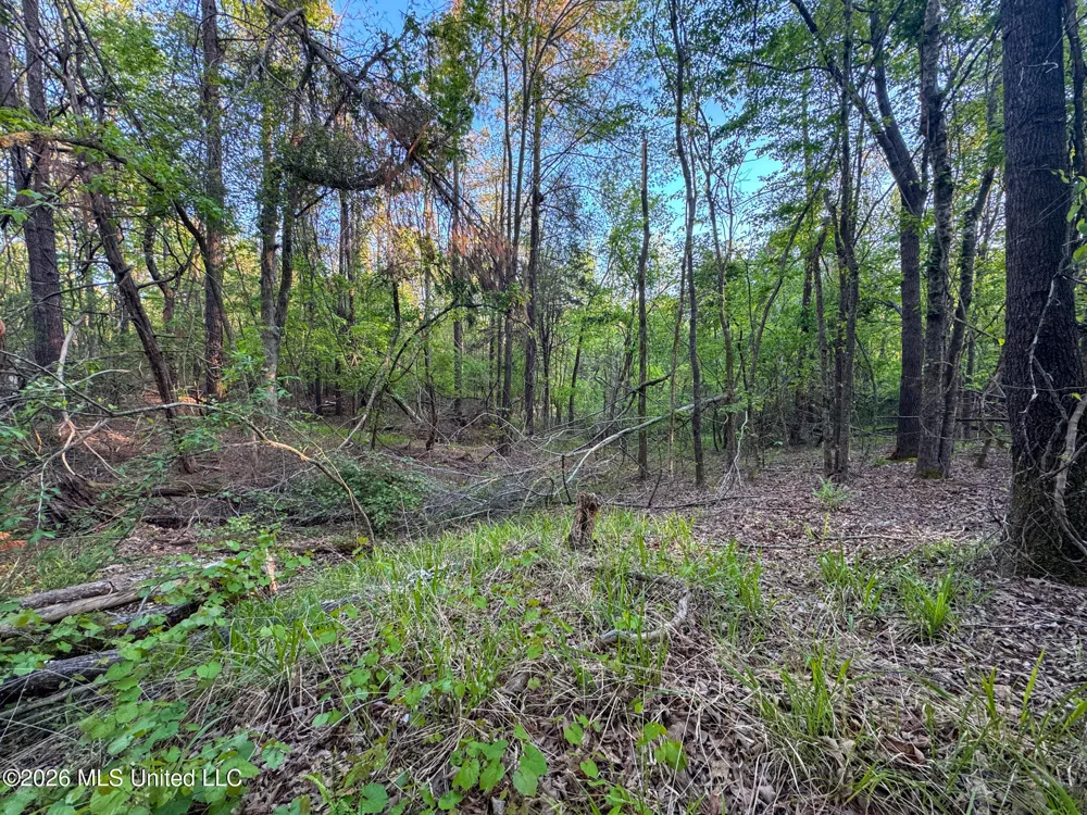 Dees Rd. Road Enid, MS 38927