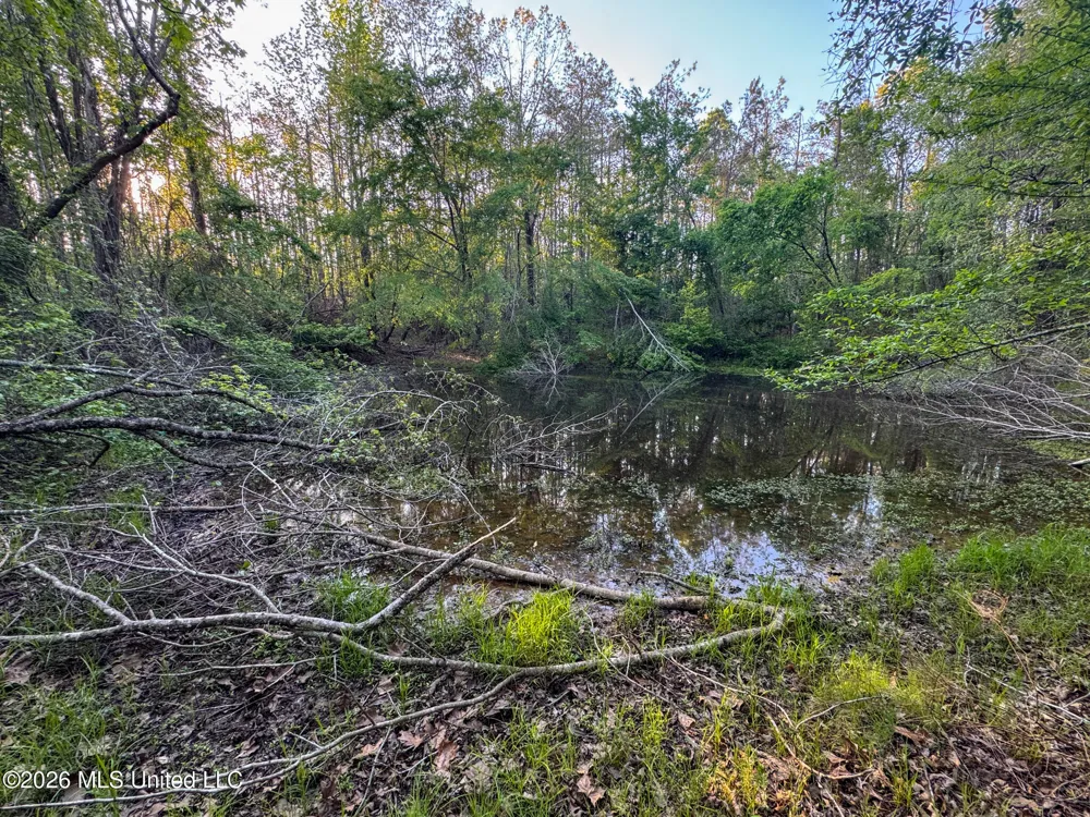 Dees Rd. Road Enid, MS 38927