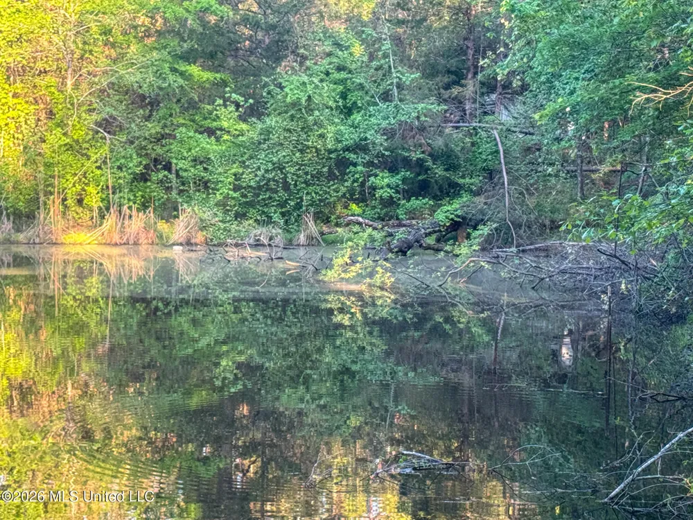 Dees Rd. Road Enid, MS 38927
