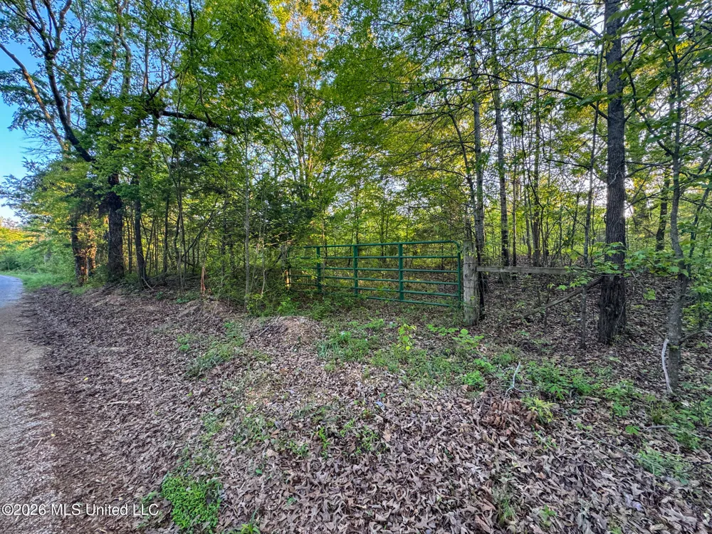 Dees Rd. Road Enid, MS 38927