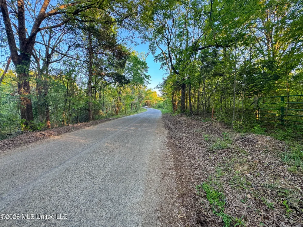 Dees Rd. Road Enid, MS 38927