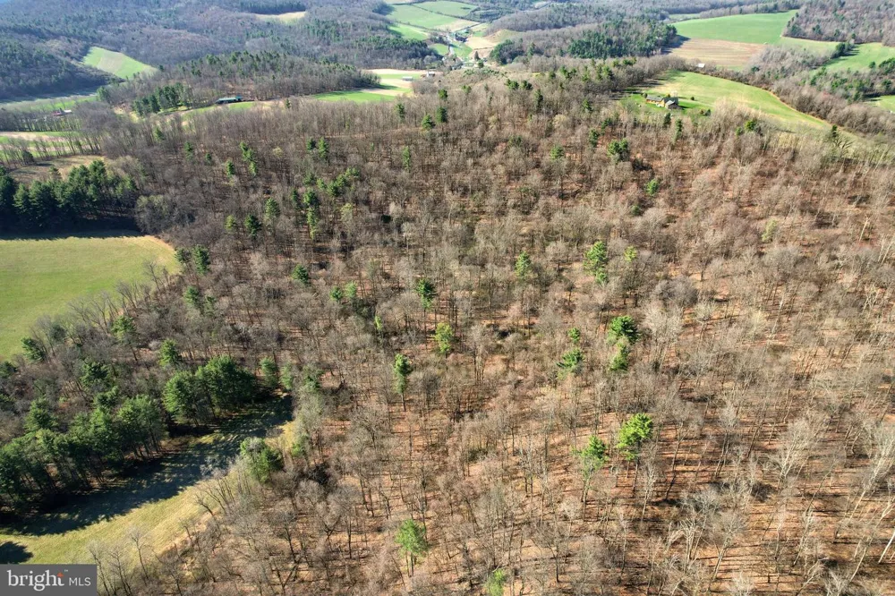 CIRCLE ROAD Bellefonte, PA 16823