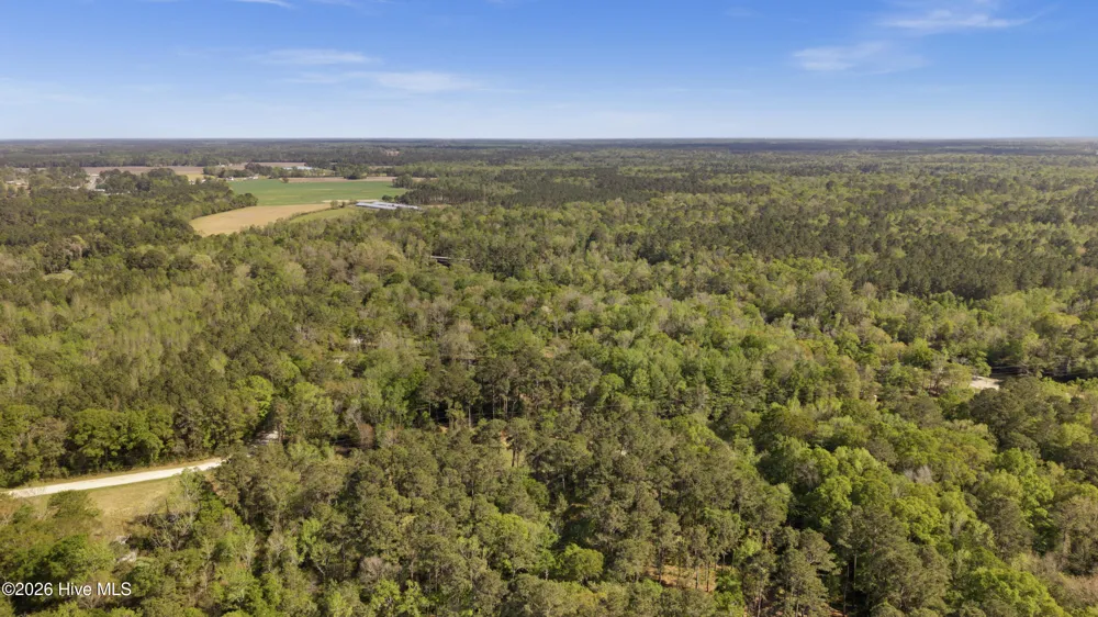 196 Quiet Water Drive Chinquapin, NC 28521