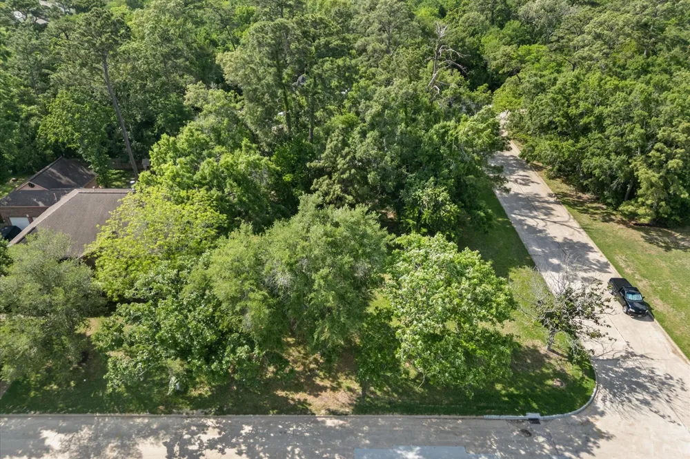 508 Independence Drive Friendswood, TX 77546