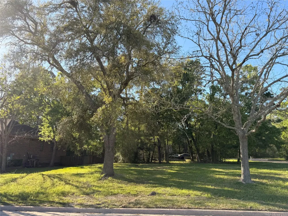 508 Independence Drive Friendswood, TX 77546