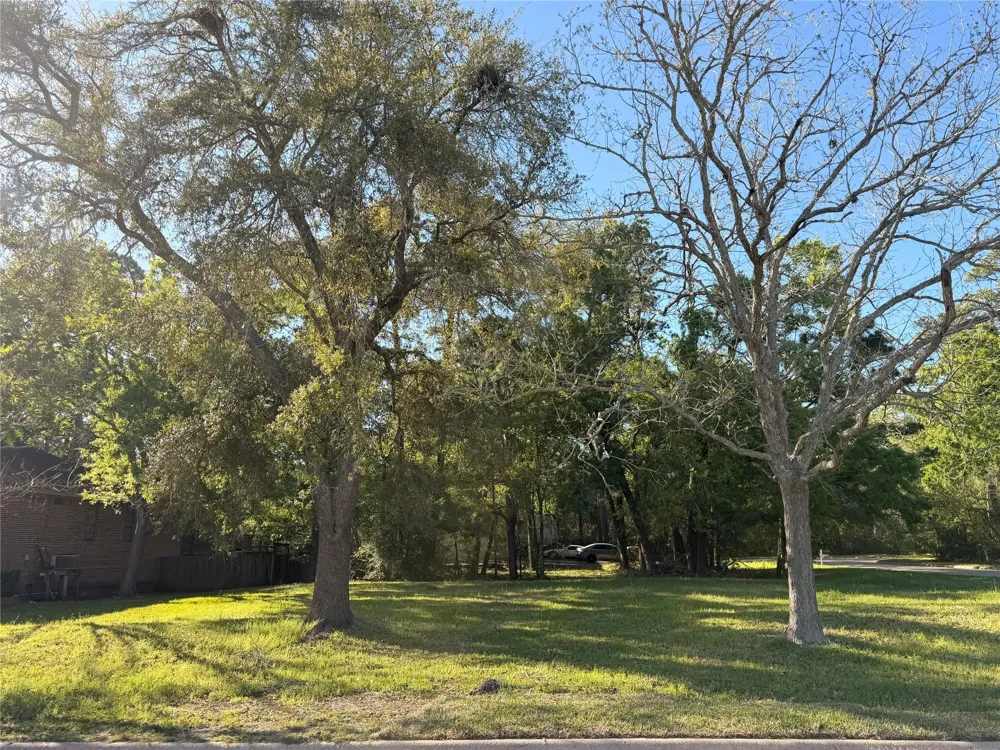 508 Independence Drive Friendswood, TX 77546