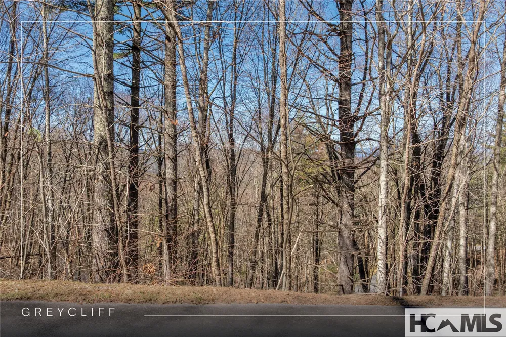 Lot 10 Channel View Drive Cullowhee, NC 28723