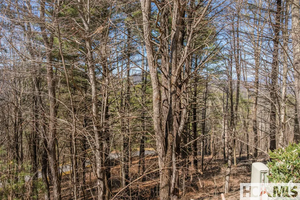 Lot 10 Channel View Drive Cullowhee, NC 28723