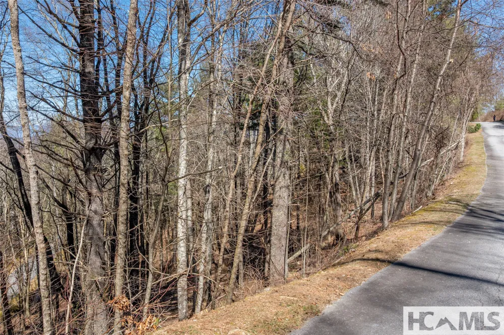 Lot 10 Channel View Drive Cullowhee, NC 28723