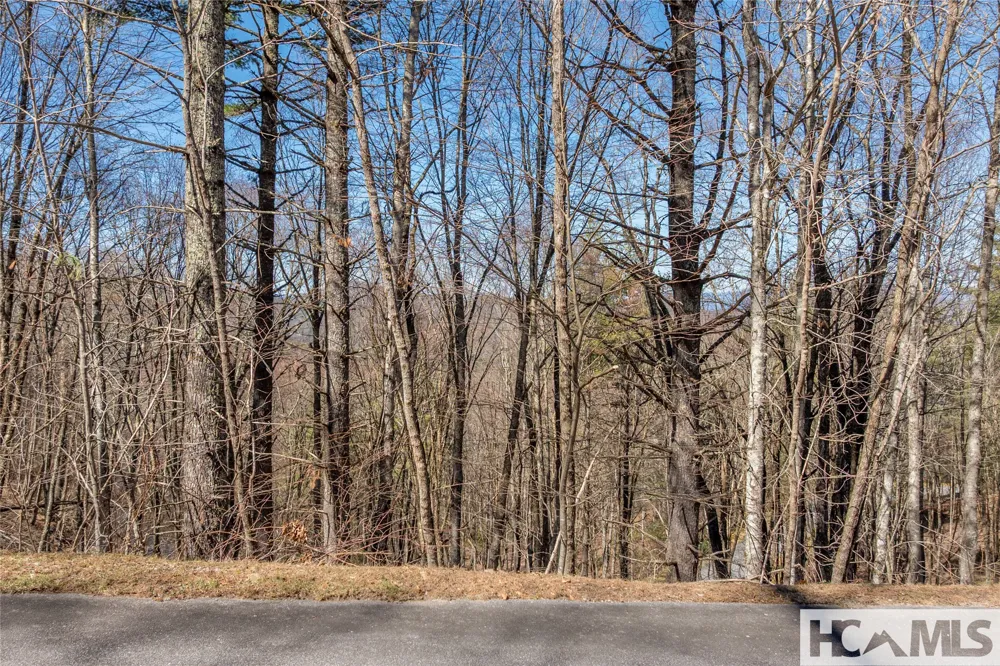 Lot 10 Channel View Drive Cullowhee, NC 28723