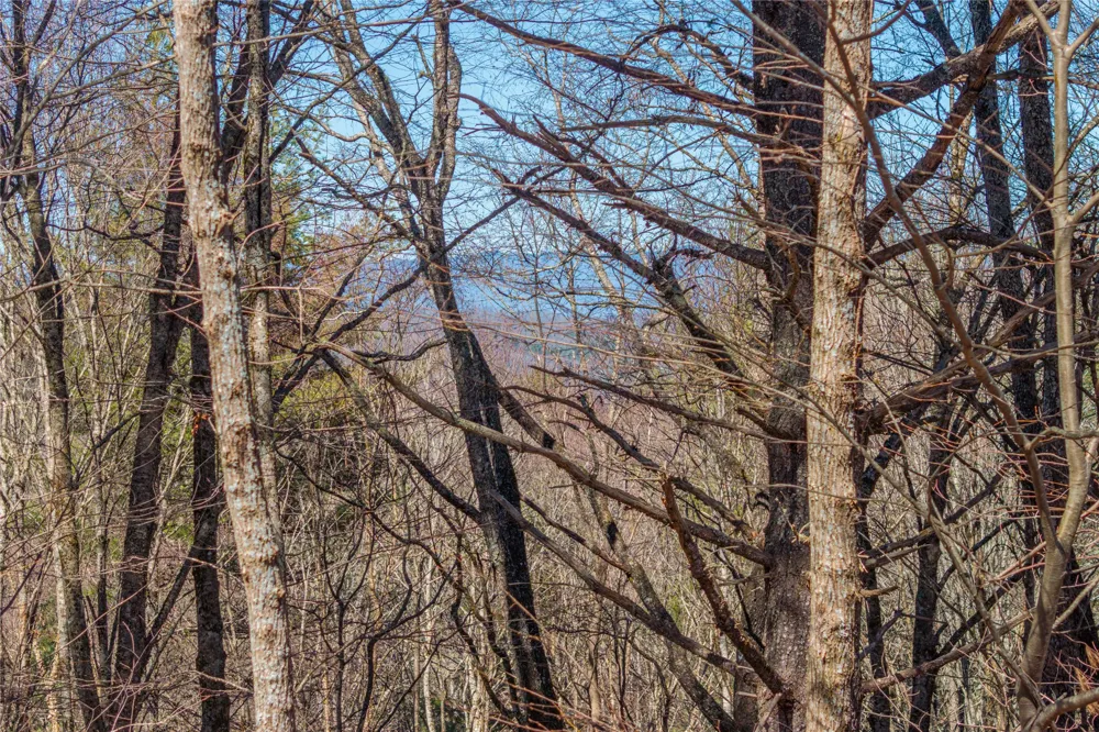 Lot 10 Channel View Drive Cullowhee, NC 28723