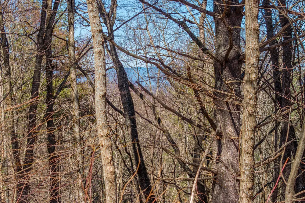 Lot 10 Channel View Drive Cullowhee, NC 28723