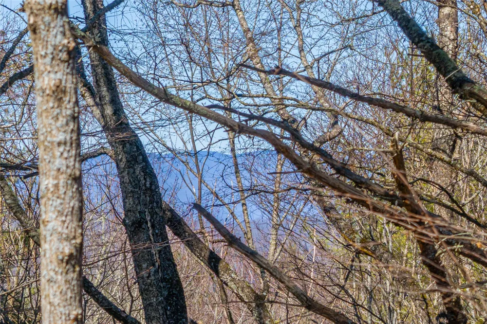 Lot 10 Channel View Drive Cullowhee, NC 28723
