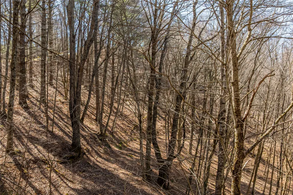 Lot 10 Channel View Drive Cullowhee, NC 28723