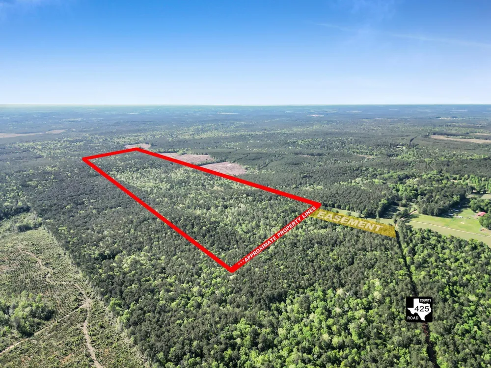 County Road 425 Kirbyville, TX 75956