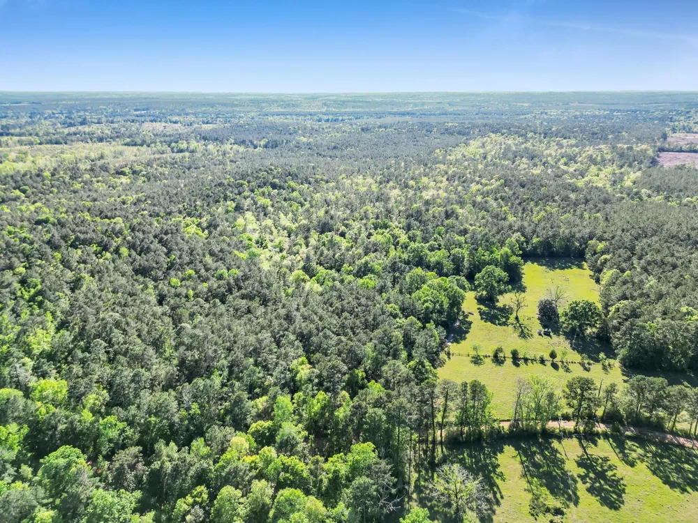 County Road 425 Kirbyville, TX 75956