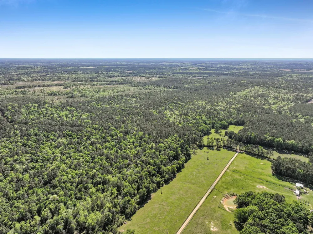 County Road 425 Kirbyville, TX 75956