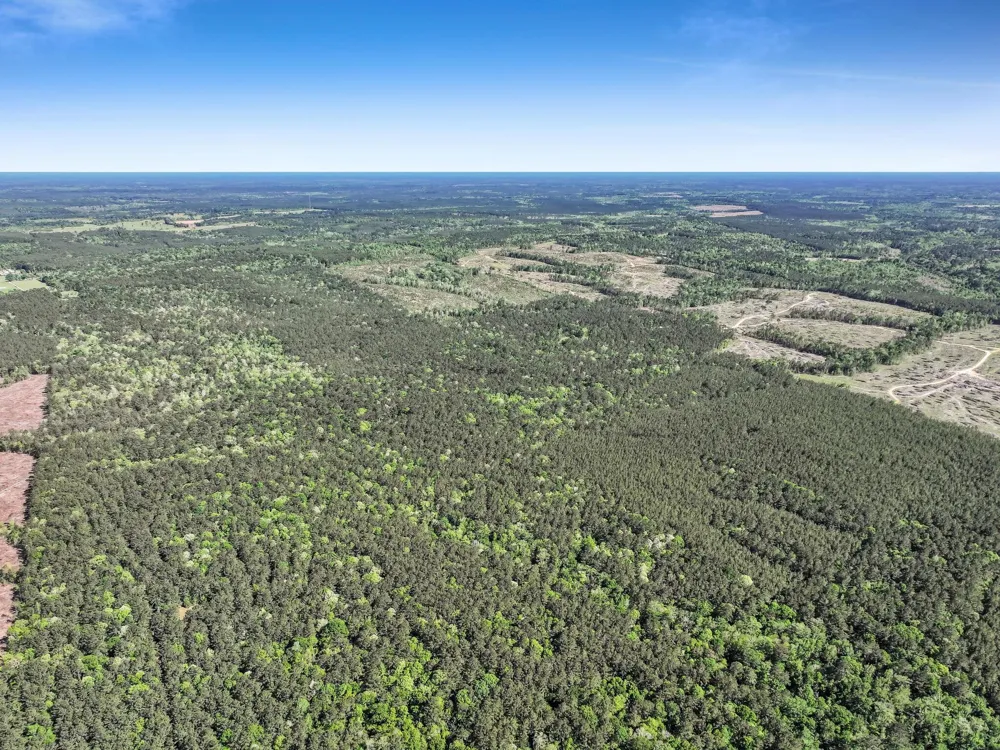 County Road 425 Kirbyville, TX 75956