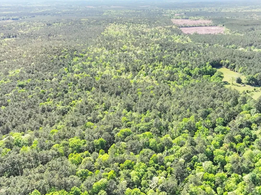 County Road 425 Kirbyville, TX 75956