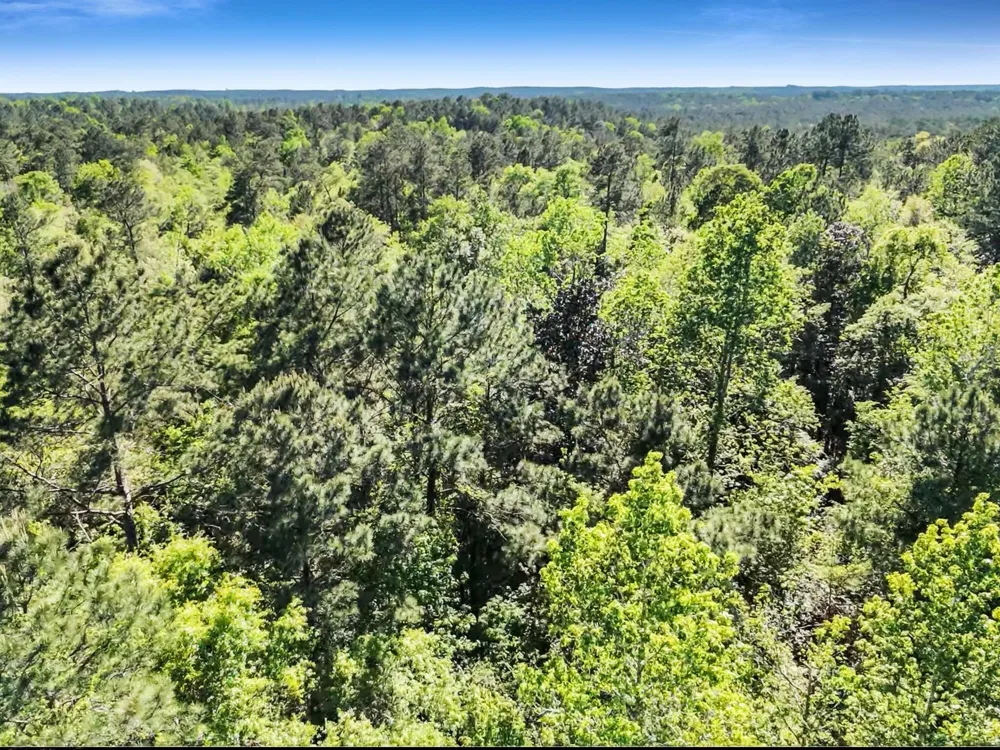 County Road 425 Kirbyville, TX 75956