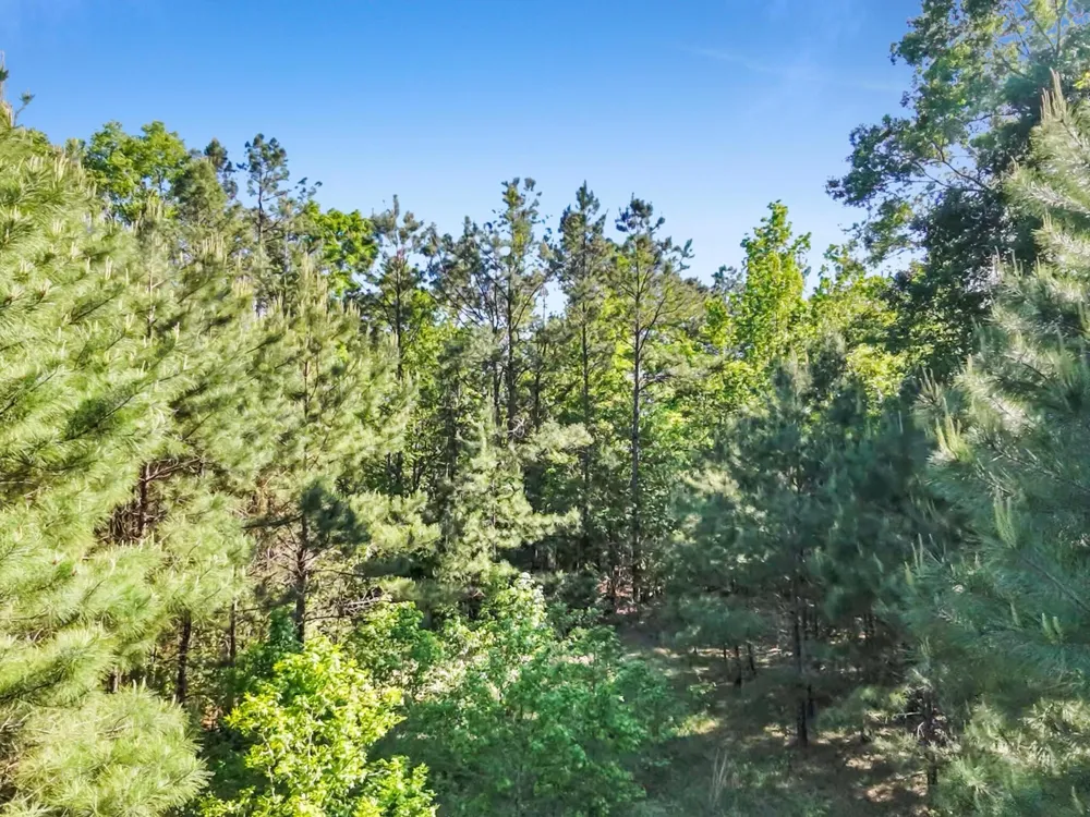 County Road 425 Kirbyville, TX 75956