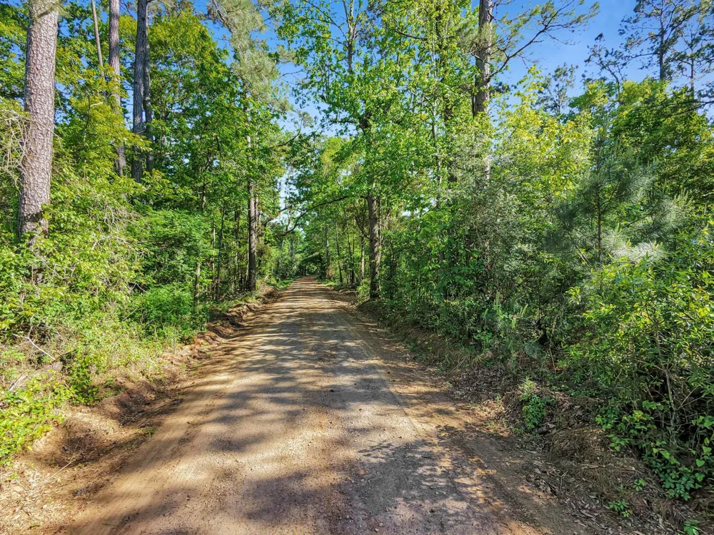 County Road 425 Kirbyville, TX 75956