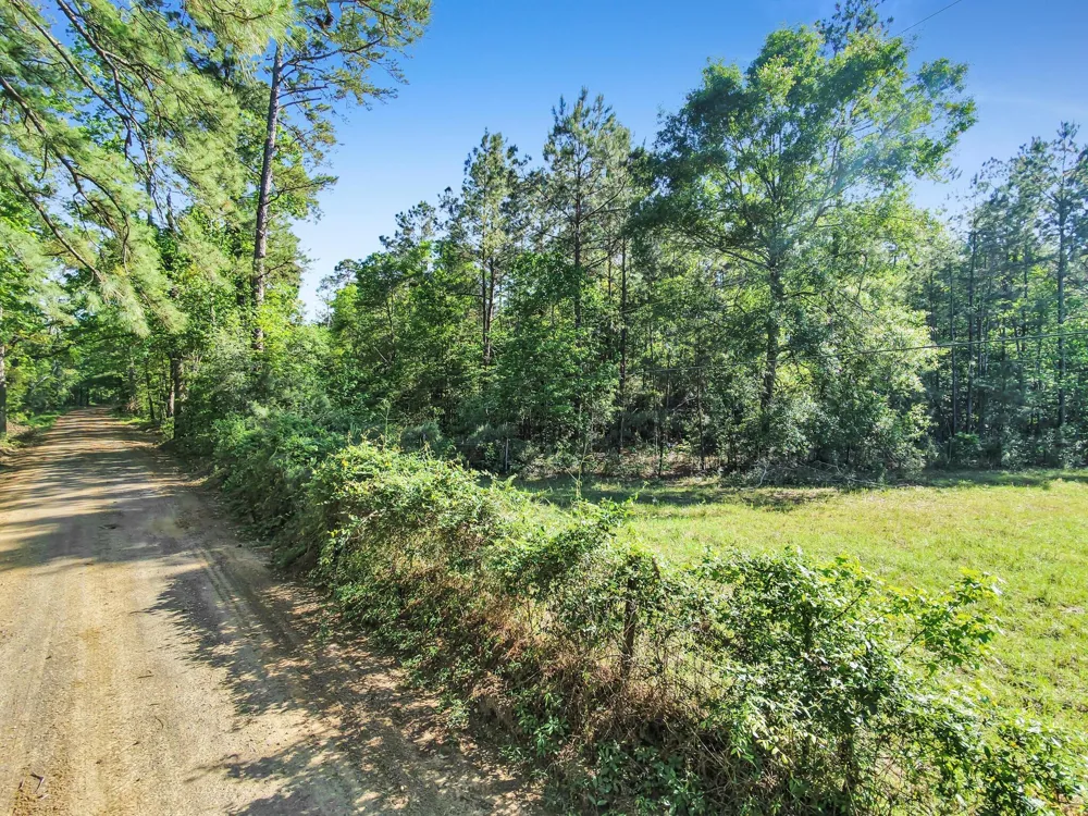 County Road 425 Kirbyville, TX 75956