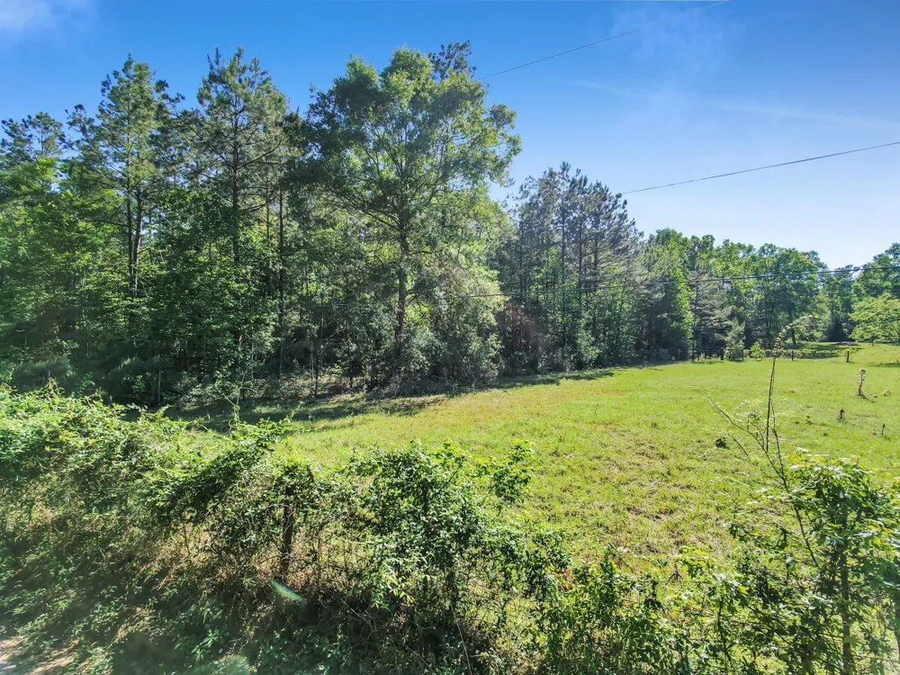 County Road 425 Kirbyville, TX 75956