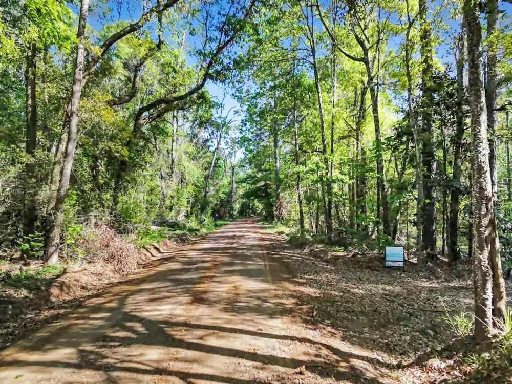 County Road 425 Kirbyville, TX 75956