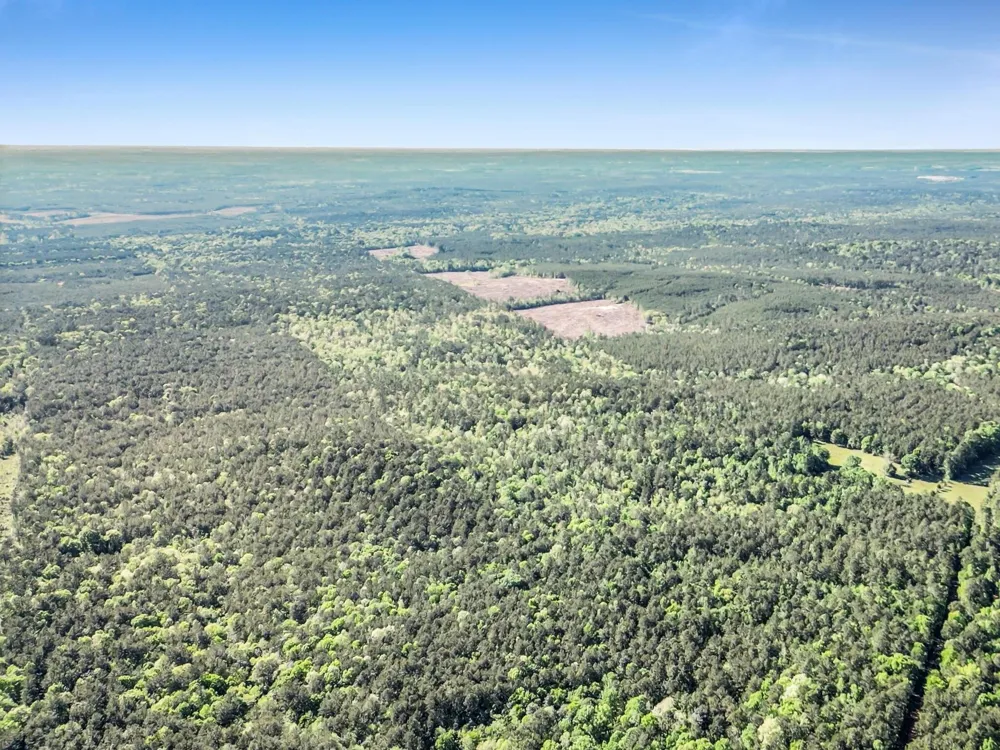 County Road 425 Kirbyville, TX 75956