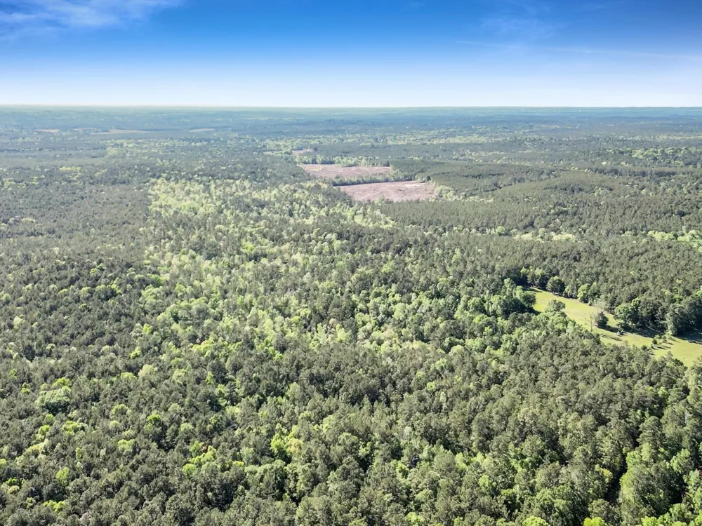 County Road 425 Kirbyville, TX 75956
