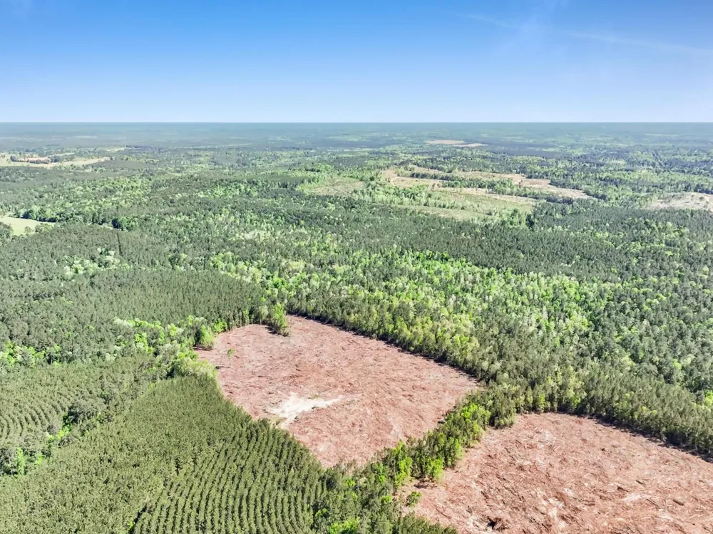 County Road 425 Kirbyville, TX 75956