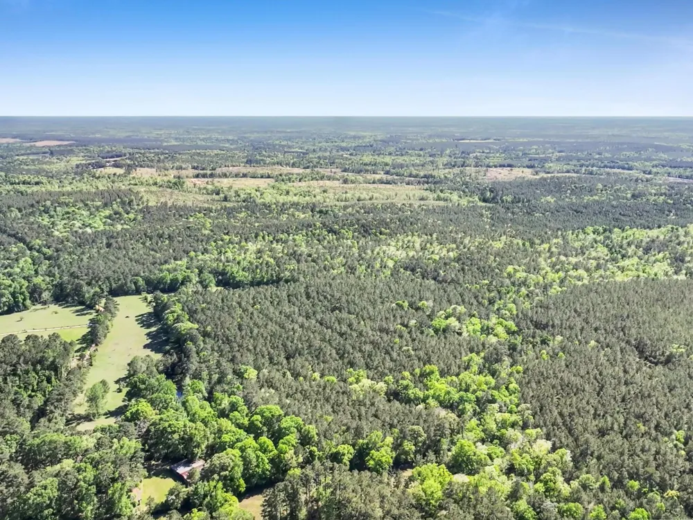 County Road 425 Kirbyville, TX 75956