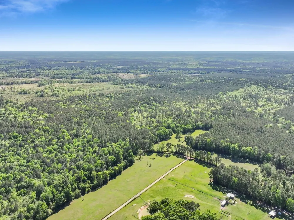 County Road 425 Kirbyville, TX 75956