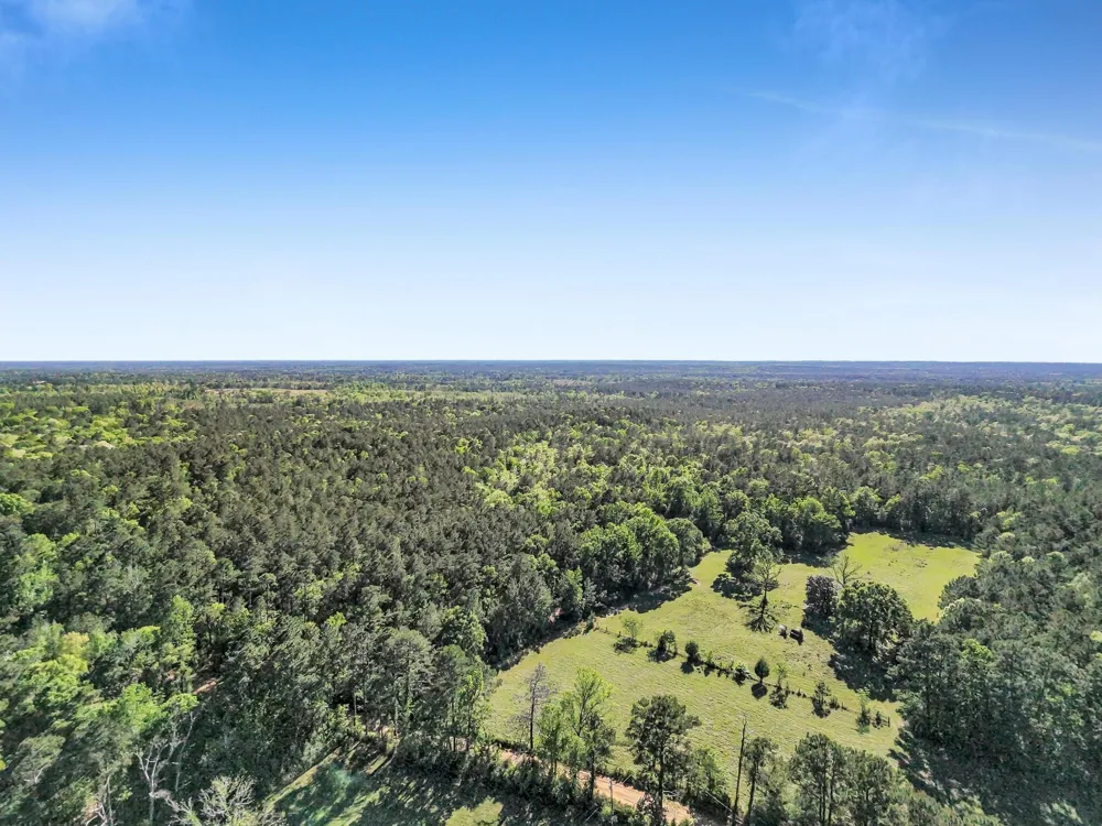 County Road 425 Kirbyville, TX 75956