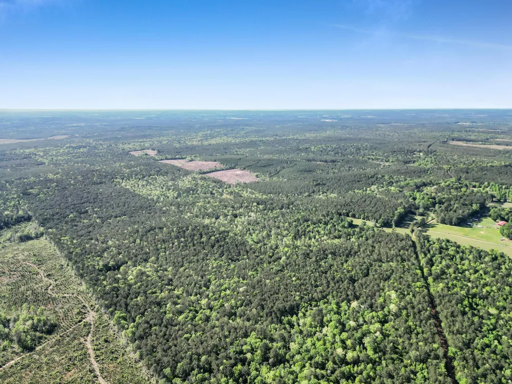 County Road 425 Kirbyville, TX 75956