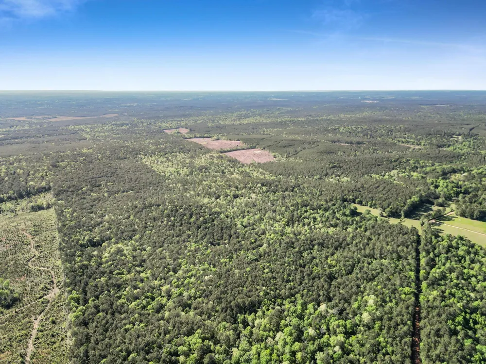 County Road 425 Kirbyville, TX 75956