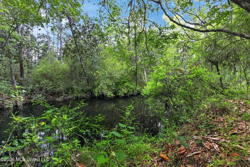 7061 Bayou Talla Lane Kiln, MS 39556